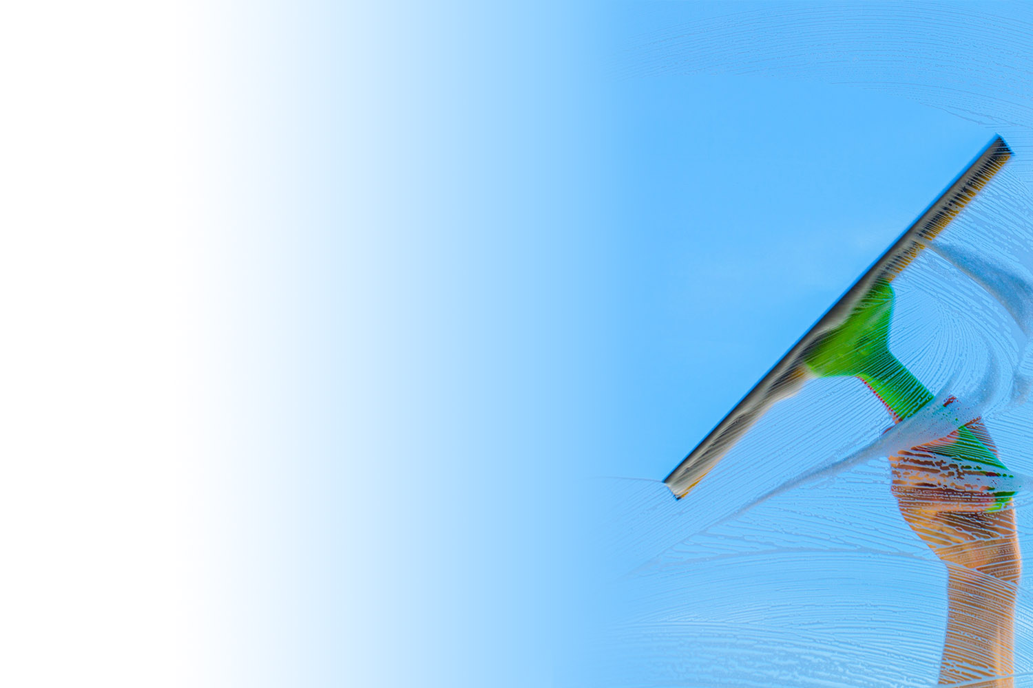 Professional exterior cleaning services